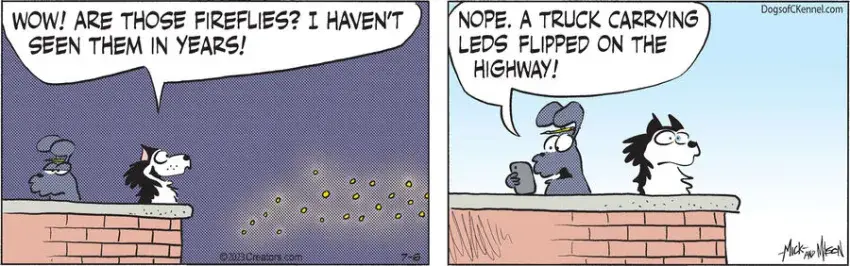 Dogs of C-Kennel for Jul 06, 2023