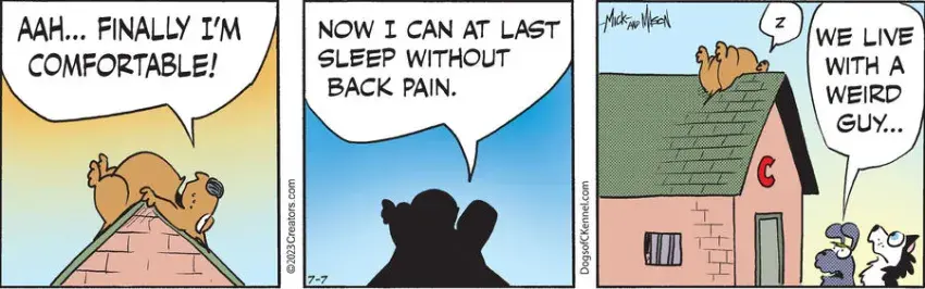 Dogs of C-Kennel for Jul 07, 2023