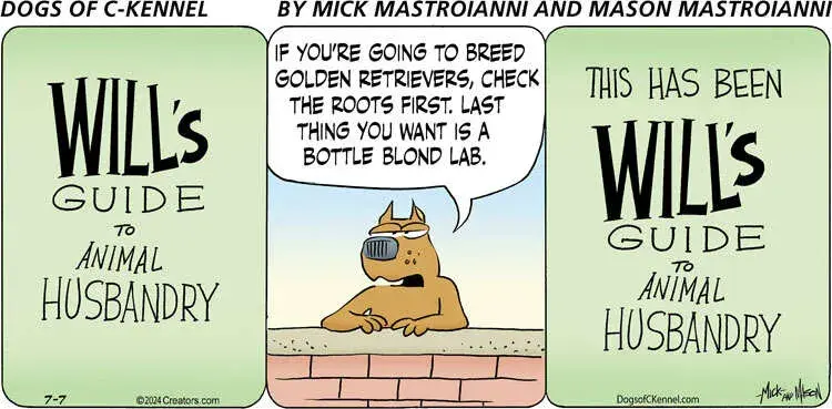 Dogs of C-Kennel for Jul 07, 2024