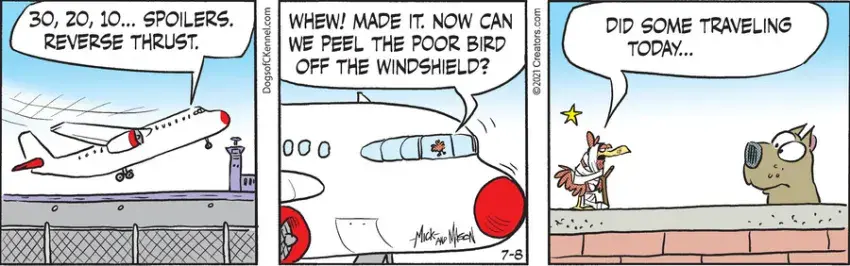 Dogs of C-Kennel for Jul 08, 2021