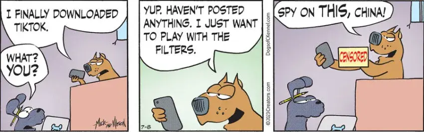 Dogs of C-Kennel for Jul 08, 2023