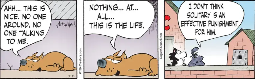 Dogs of C-Kennel for Jul 08, 2024