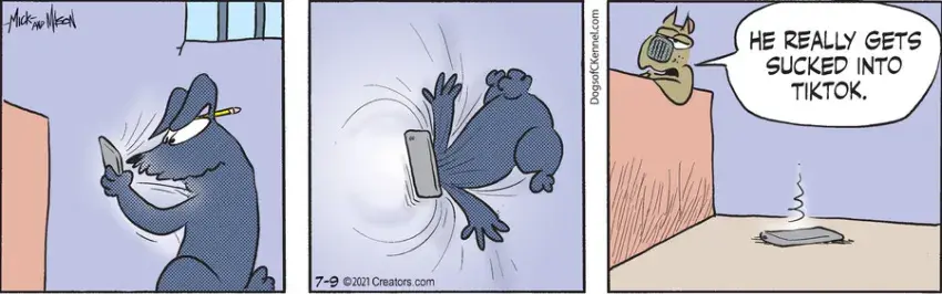 Dogs of C-Kennel for Jul 09, 2021