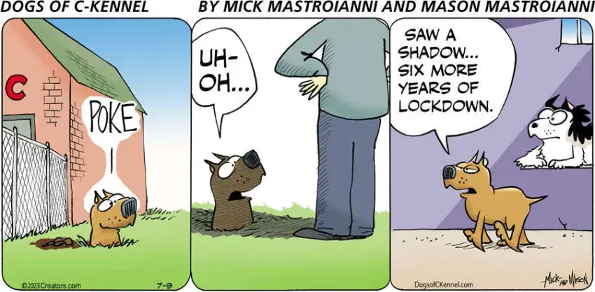 Dogs of C-Kennel for Jul 09, 2023