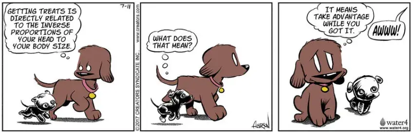 Dog Eat Doug for Jul 11, 2022