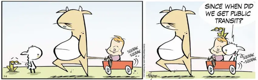 The Barn for Jul 11, 2023