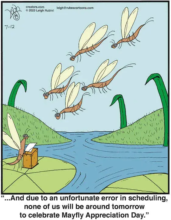 Rubes® for Jul 12, 2023