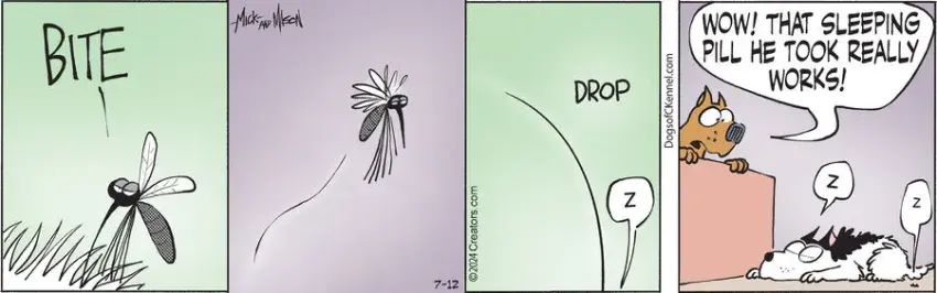 Dogs of C-Kennel for Jul 12, 2024