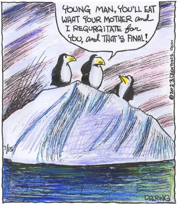 Strange Brew for Jul 15, 2023