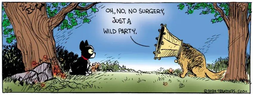 Zack Hill for Jul 15, 2024