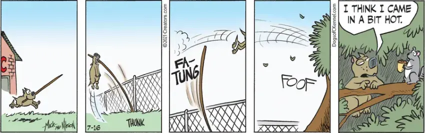 Dogs of C-Kennel for Jul 16, 2021