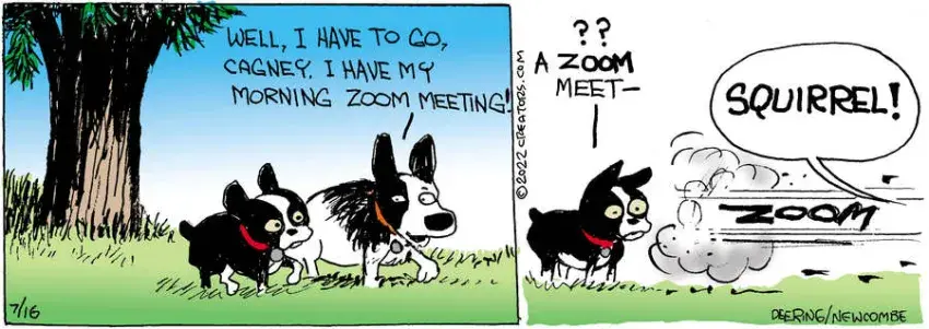 Zack Hill for Jul 16, 2022