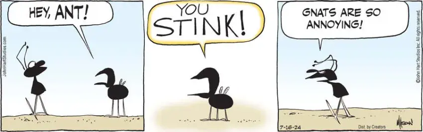 B.C. for Jul 16, 2024