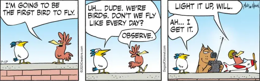 Dogs of C-Kennel for Jul 17, 2023