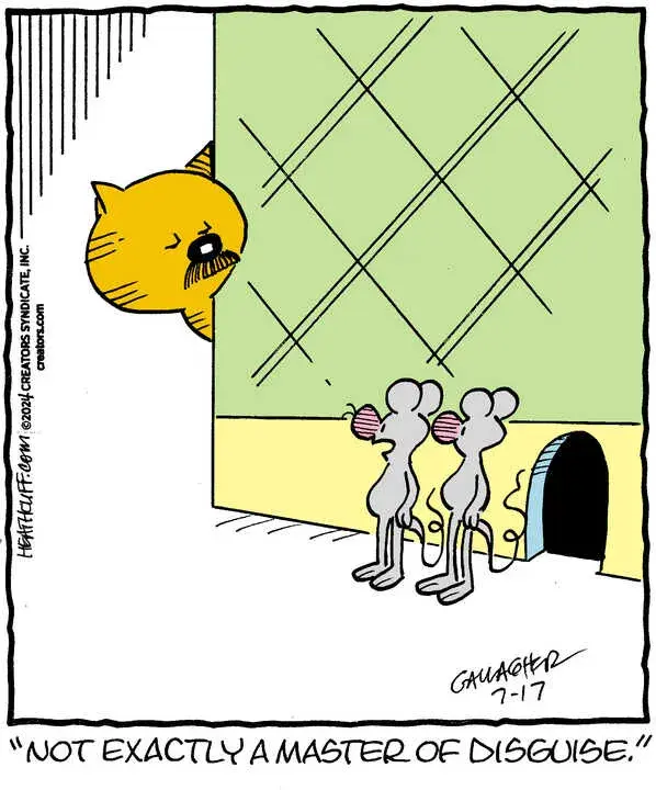 Heathcliff for Jul 17, 2024