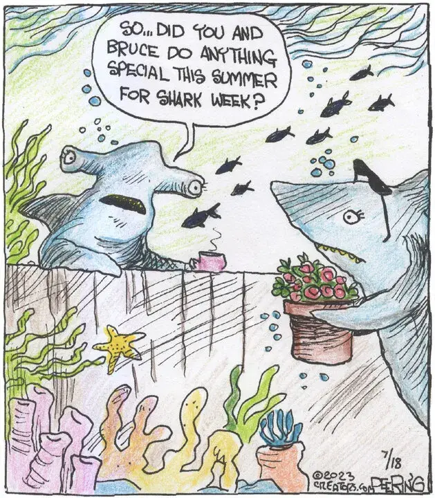 Strange Brew for Jul 18, 2023