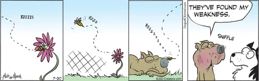 Dogs of C-Kennel for Jul 20, 2021