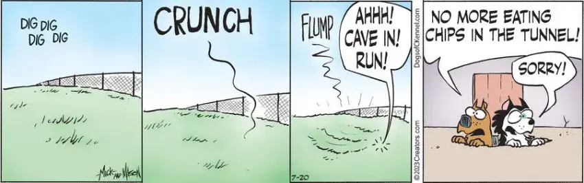 Dogs of C-Kennel for Jul 20, 2023