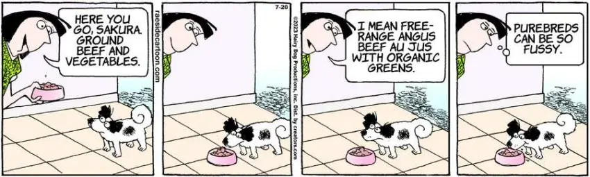 The Other Coast for Jul 20, 2023