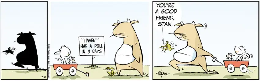 The Barn for Jul 21, 2022