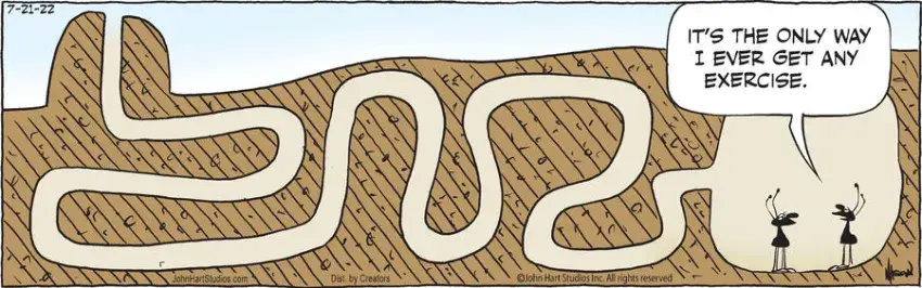 B.C. for Jul 21, 2022