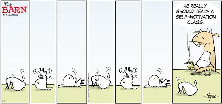 The Barn for Jul 21, 2024