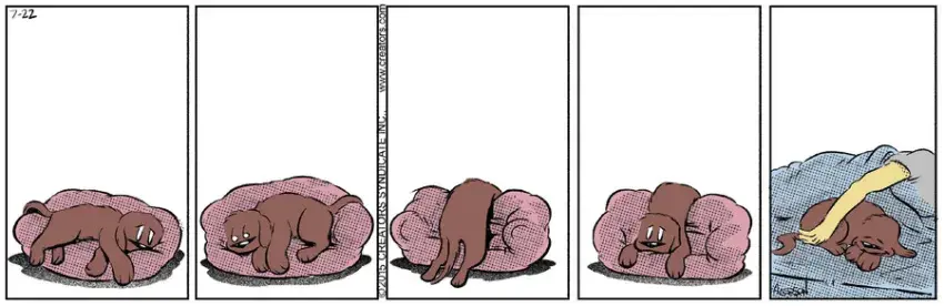 Dog Eat Doug for Jul 22, 2021