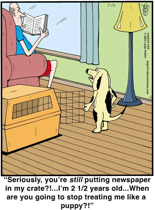 Rubes® for Jul 22, 2023