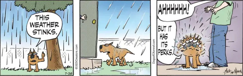 Dogs of C-Kennel for Jul 26, 2023