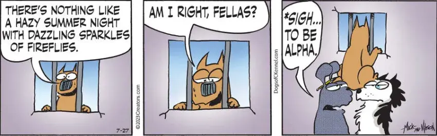 Dogs of C-Kennel for Jul 27, 2023