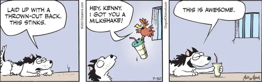 Dogs of C-Kennel for Jul 30, 2021