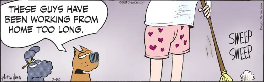 Dogs of C-Kennel for Jul 30, 2024