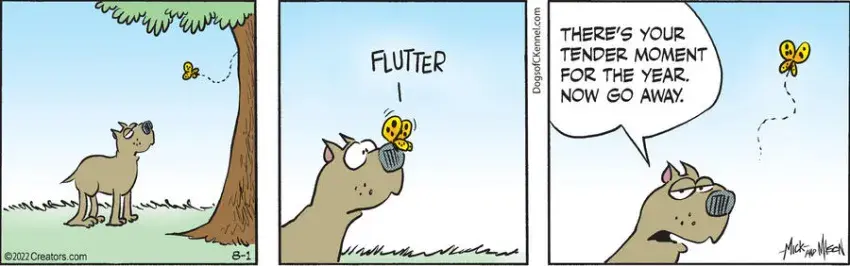 Dogs of C-Kennel for Aug 01, 2022