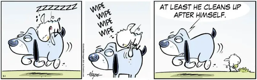 The Barn for Aug 01, 2023