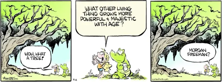 Shrimp and Grits for Aug 02, 2021