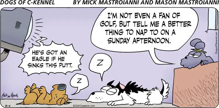 Dogs of C-Kennel for Aug 04, 2024