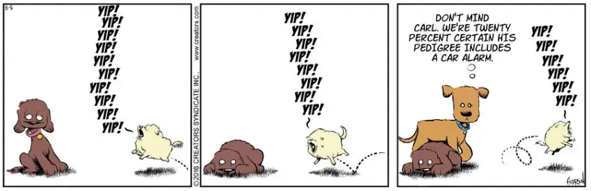 Dog Eat Doug for Aug 05, 2021