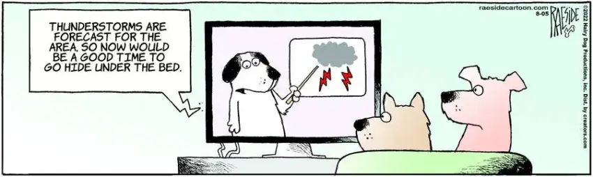 The Other Coast for Aug 05, 2022