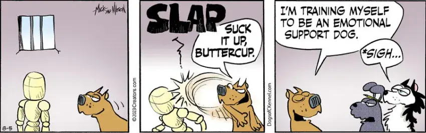 Dogs of C-Kennel for Aug 05, 2023