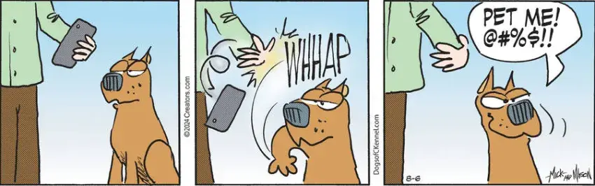 Dogs of C-Kennel for Aug 06, 2024