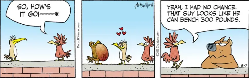 Dogs of C-Kennel for Aug 07, 2023