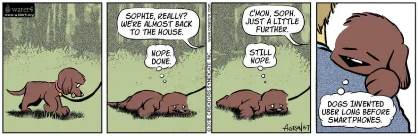 Dog Eat Doug for Aug 07, 2023