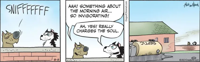 Dogs of C-Kennel for Aug 08, 2022