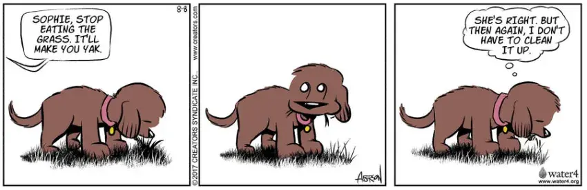 Dog Eat Doug for Aug 08, 2022