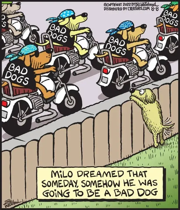 Free Range for Aug 08, 2022