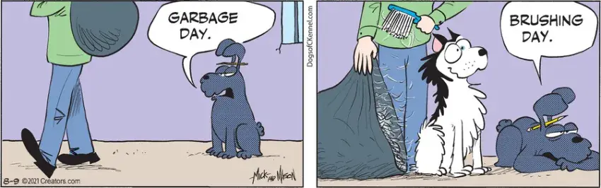 Dogs of C-Kennel for Aug 09, 2021