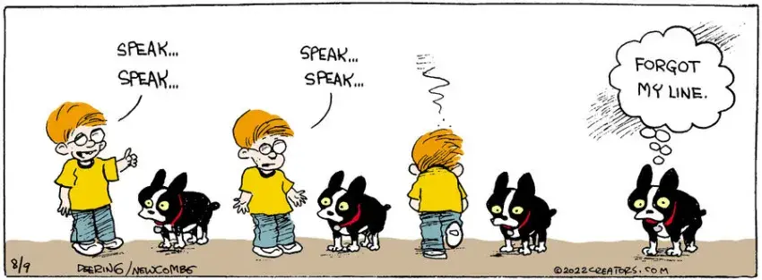 Zack Hill for Aug 09, 2022