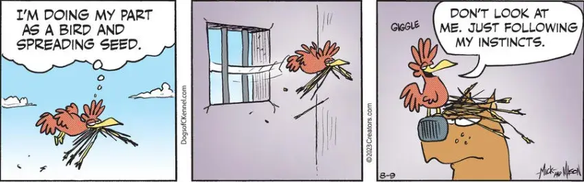 Dogs of C-Kennel for Aug 09, 2023