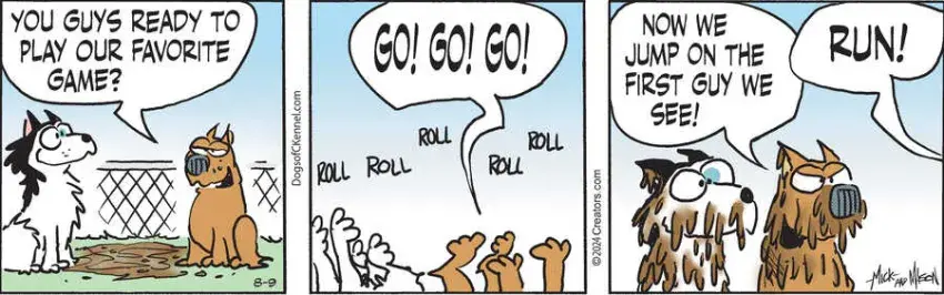 Dogs of C-Kennel for Aug 09, 2024