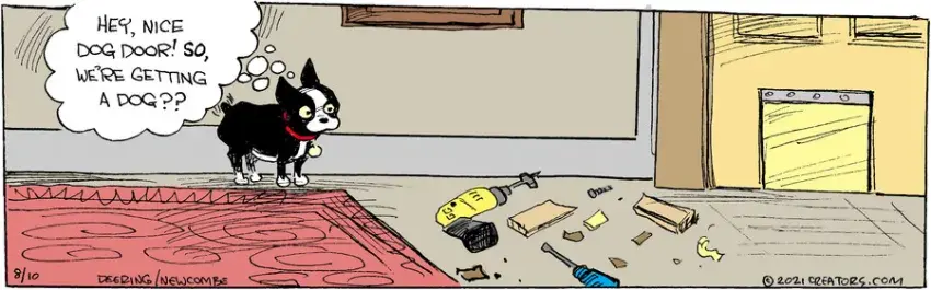 Zack Hill for Aug 10, 2021